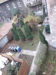 ul. józefińska widok z okna